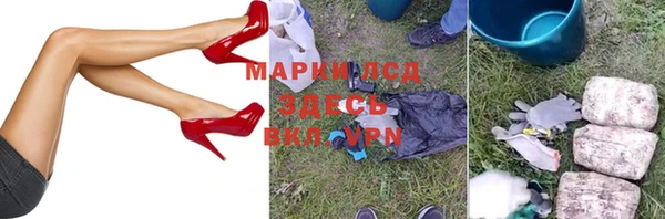 гидропоника Алзамай
