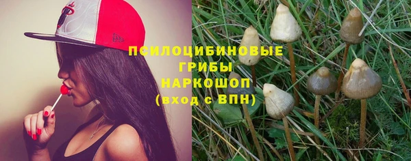 ПСИЛОЦИБИНОВЫЕ ГРИБЫ Алексеевка