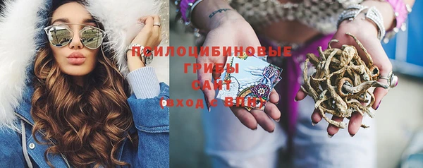гидропоника Алзамай