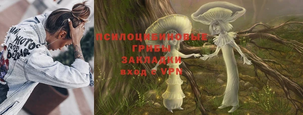 ПСИЛОЦИБИНОВЫЕ ГРИБЫ Алексеевка