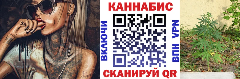Марихуана планчик закладки Люберцы